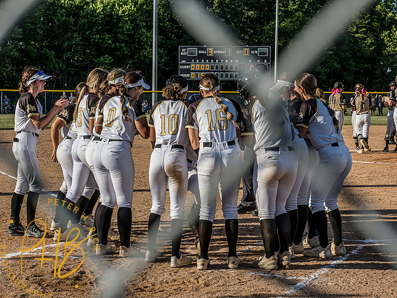 Lapel Softball 2024 2018-Edit
