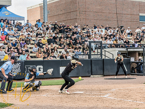 Lapel Softball 2024 3355-Edit