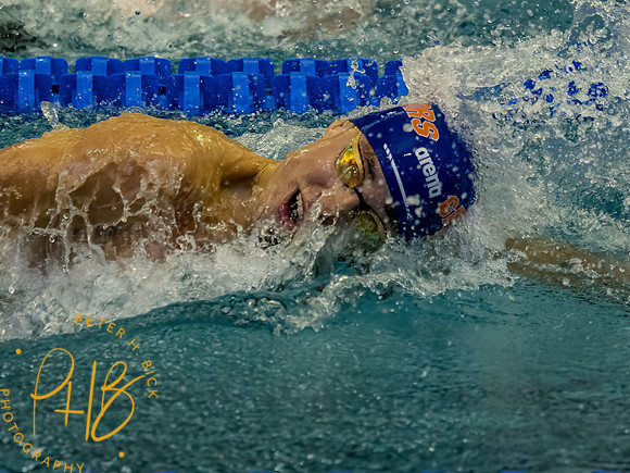 alfonso-mestre-- 2022-mncaas&d 1658-Edit