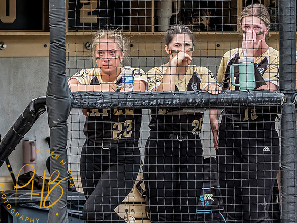 Lapel Softball 2024 3332-Edit
