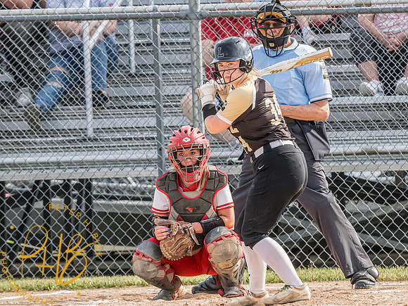 Lapel Softball 2024 0835-Edit