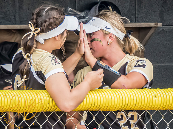 Lapel Softball 2024 2480-Edit