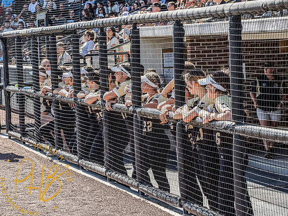 Lapel Softball 2024 3007-Edit