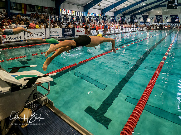 sarasota-y-masters-usms-panam-2018 1406