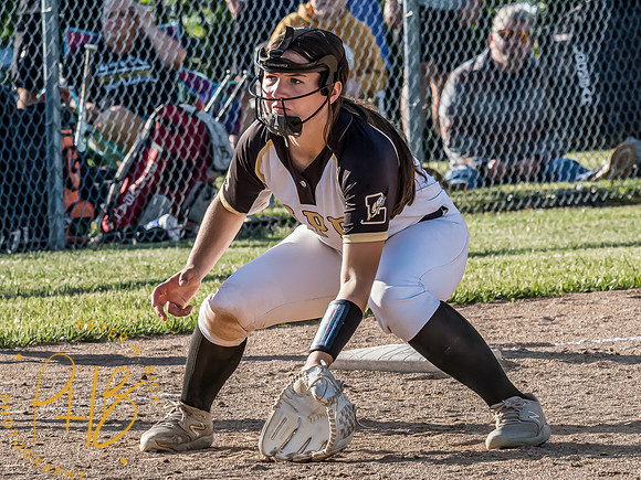 Lapel Softball 2024 2003-Edit