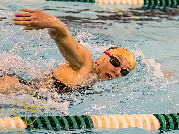 Lapel Swimming 2024-25 0083-Edit-topaz-denoise-face-text