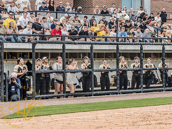 Lapel Softball 2024 3402-Edit