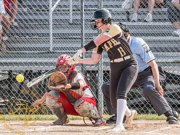 Lapel Softball 2024 0707-Edit