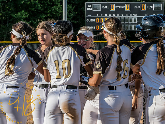 Lapel Softball 2024 2020-Edit