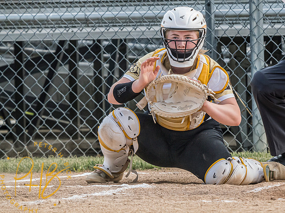 Lapel Softball 2024 0729-Edit