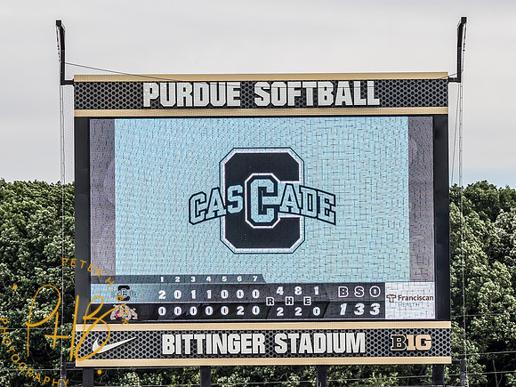Lapel Softball 2024 3473-Edit