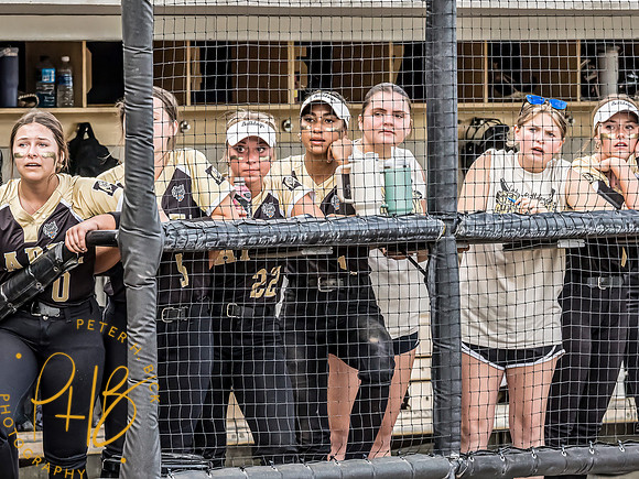 Lapel Softball 2024 3429-Edit