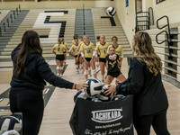 Lapel Volleyball 2025 0009-Edit