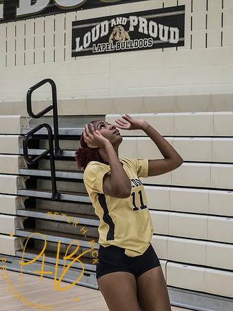 Lapel Volleyball 2025 0030-Edit