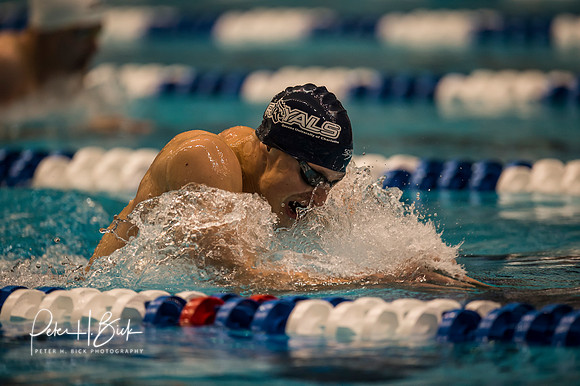 matthew josa-queens- ncaa-dii-2015-0608
