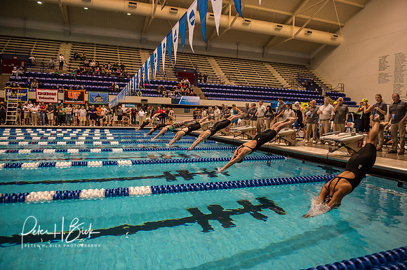 i.u. natatorium- ncaa-dii-2015-0633