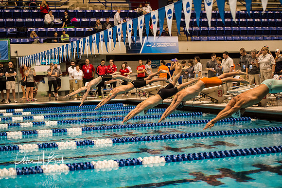 i.u. natatorium-venue-start- ncaa-dii-2015-0683
