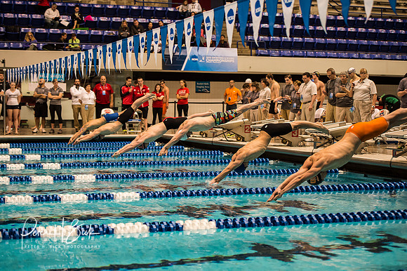 i.u. natatorium-venue-start- ncaa-dii-2015-0689