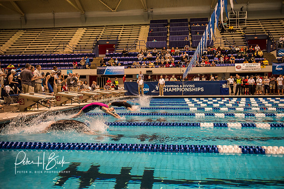 i.u. natatorium-venue-start- ncaa-dii-2015-0752
