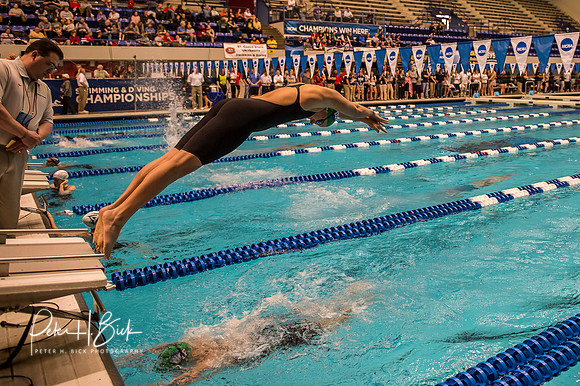 i.u. natatorium-venue-relay-exchange- ncaa-dii-2015-0759