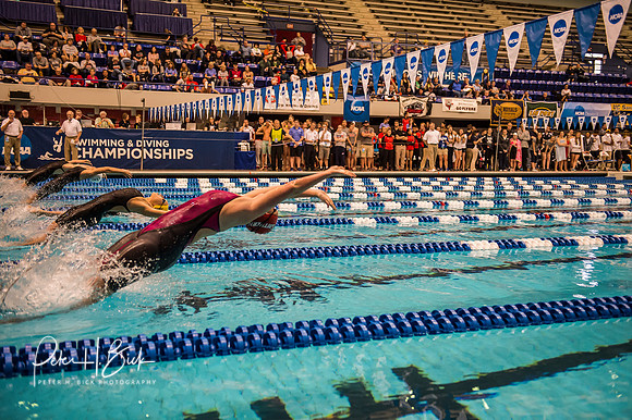 i.u. natatorium-venue-start- ncaa-dii-2015-0768