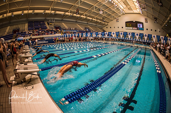 i.u. natatorium-venue-start- ncaa-dii-2015-0784