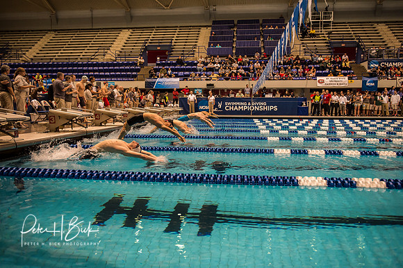 i.u. natatorium- ncaa-dii-2015-0799