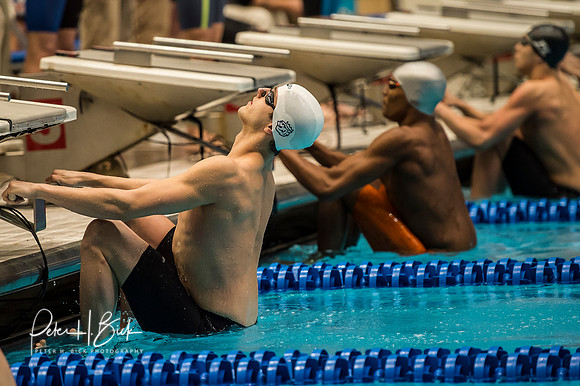 backstroke-start- ncaa-dii-2015-0820