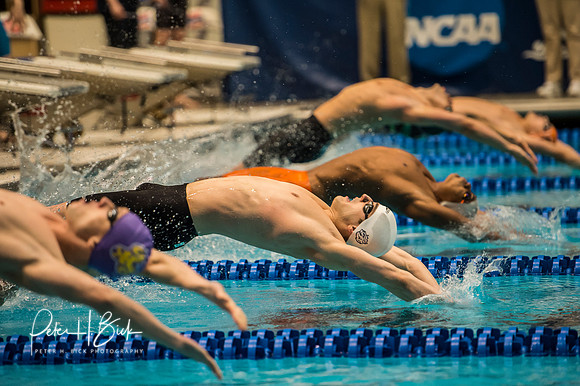 queens-200mr-start ncaa-dii-2015-0824
