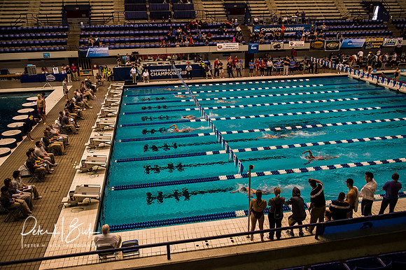 i.u. natatorium--venue- ncaa-dii-2015-0881