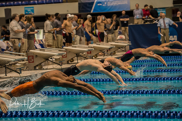 200-medley-relay-start- ncaa-dii-2015-1501