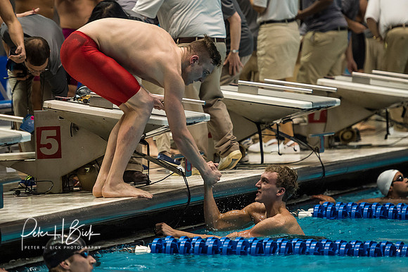 wayne-state-200-medley-relay-celebration- ncaa-dii-2015-1505