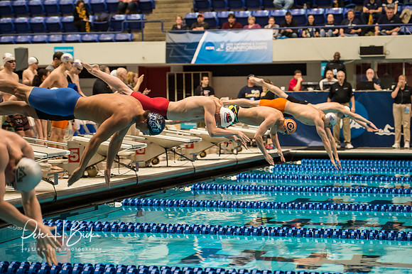 200-free-relay-start- ncaa-dii-2015-1554