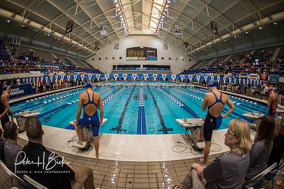 i.u. natatorium--venue- ncaa-dii-2015-1742