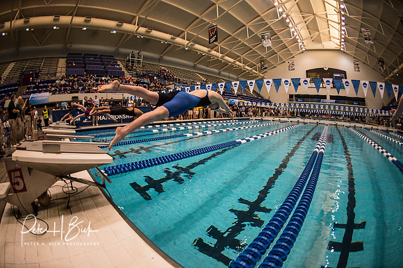 i.u. natatorium--venue- ncaa-dii-2015-1749