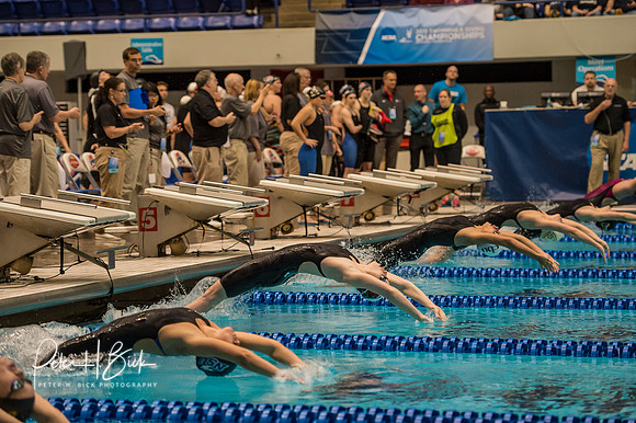 400-medley-relay-start- ncaa-dii-2015-1840