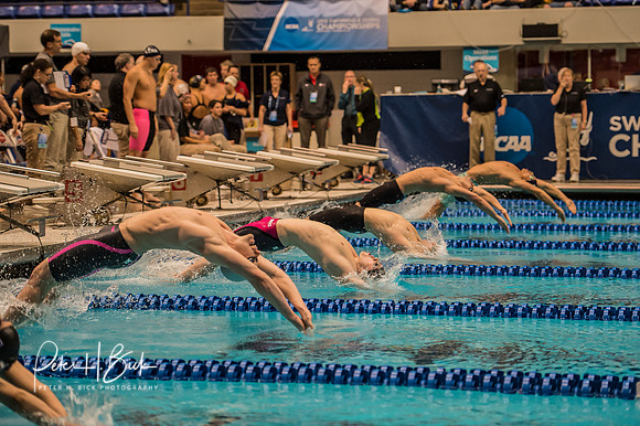 400-medley-relay-start- ncaa-dii-2015-1849