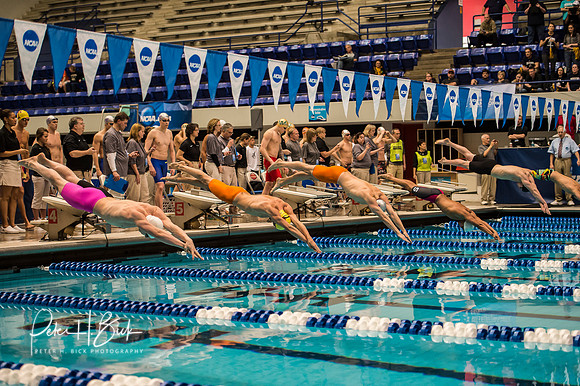 start-200-free-relay- ncaa-dii-2015-2045