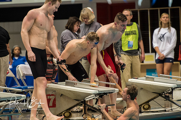 wayne-state-200-free-relay ncaa-dii-2015-2061