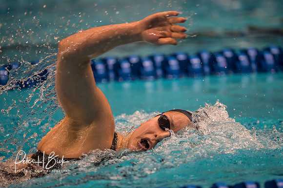 patricia-castro-ortega-queens- ncaa-dii-2015-2296