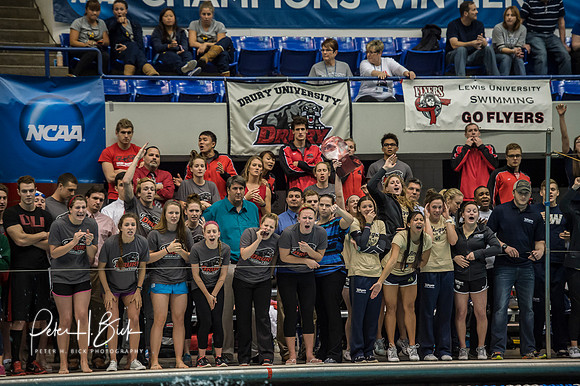 team-cheering- ncaa-dii-2015-2498