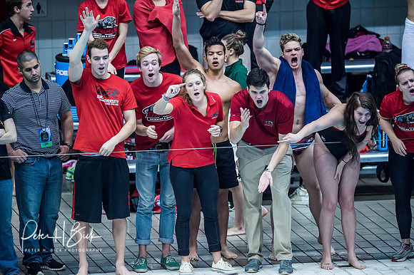 drury-team-cheering- ncaa-dii-2015-2625
