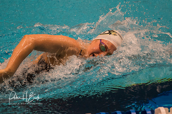 alecia-mcgillivray-lindenwood- ncaa-dii-2015-2631