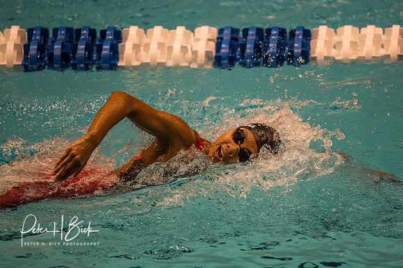 rosalee-santa-ana-apu- ncaa-dii-2015-2659