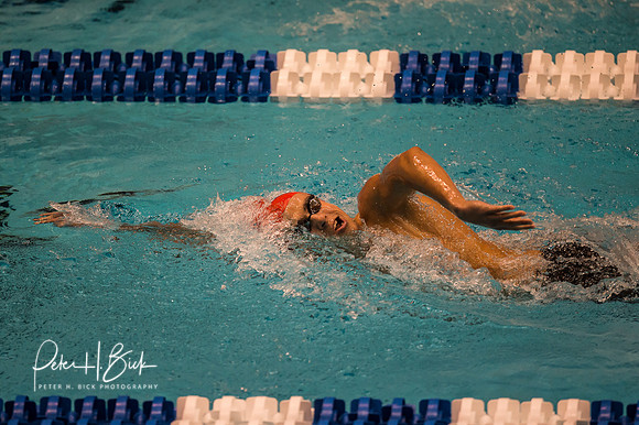 juan-tolosa-florida-southern- ncaa-dii-2015-2690