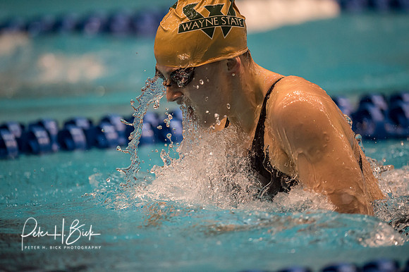 hannah-loesch-wayne-state- ncaa-dii-2015-2973