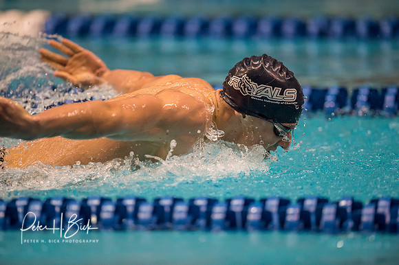 matthew-josa-queens-matthew-josa-queens- ncaa-dii-2015-3160