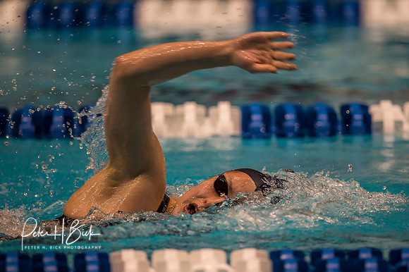 patricia-castro-ortega-queens- ncaa-dii-2015-3308
