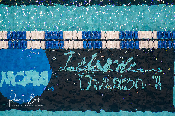ncaa-dii-2015-3745
