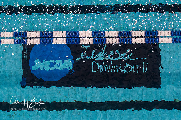 i.u.-natatorium-venue-ncaa-logo- ncaa-dii-2015-3747